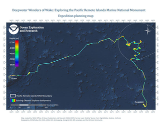 Image: NOAA Office of Ocean Exploration and Research, Deepwater Wonders of Wake.